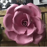 感應(yīng)花開(kāi)