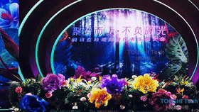 上海騰訊在線視頻創(chuàng)作者生態(tài)大會機械花啟動裝置