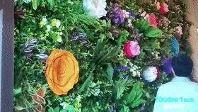 濱州市城市管理局植物園科普中心多媒體互動裝置